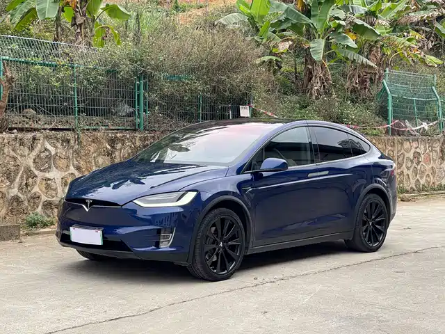 TESLA MODEL X 2017