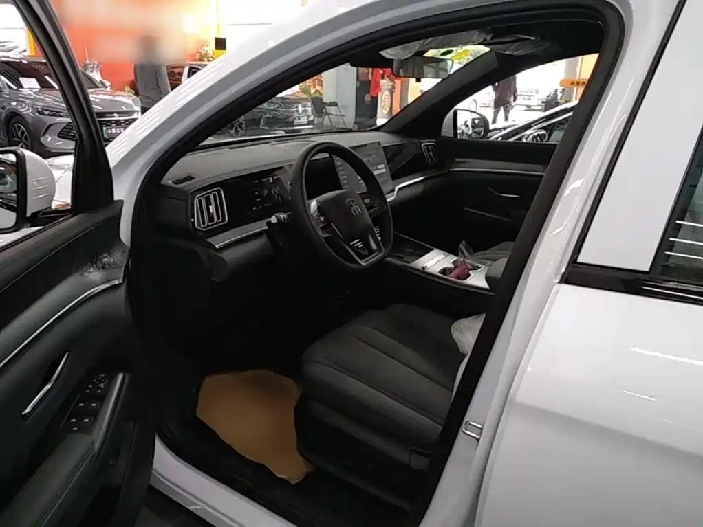 BYD Pro New Energy — миниатюра 16
