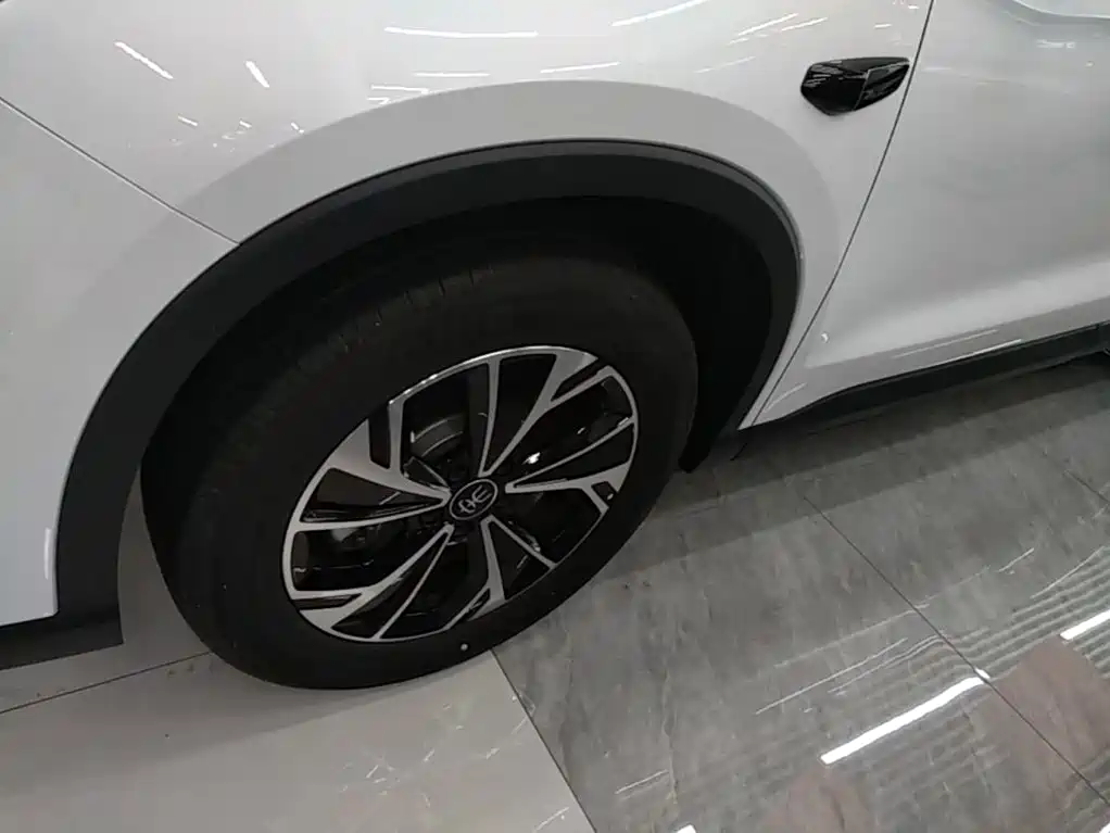 BYD Pro New Energy — миниатюра 23