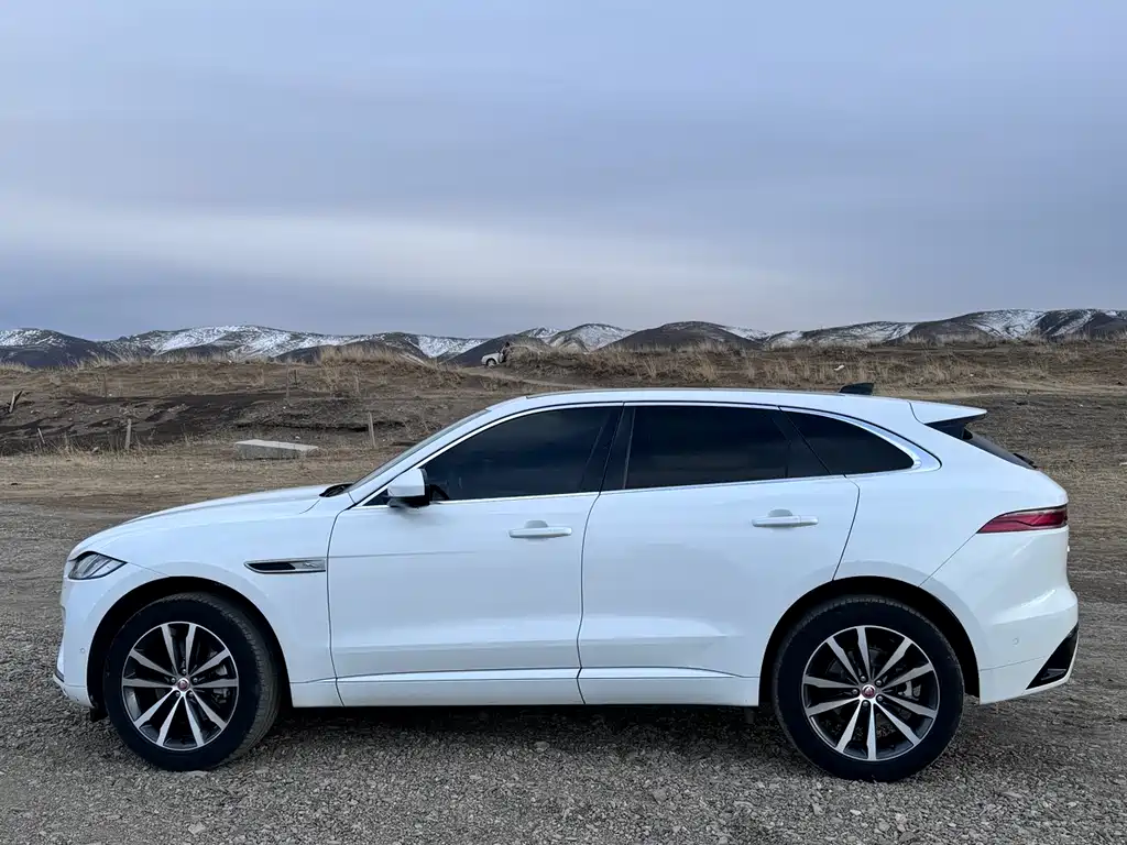 Jaguar F-Pace 2021 250PS R-Dynamic S