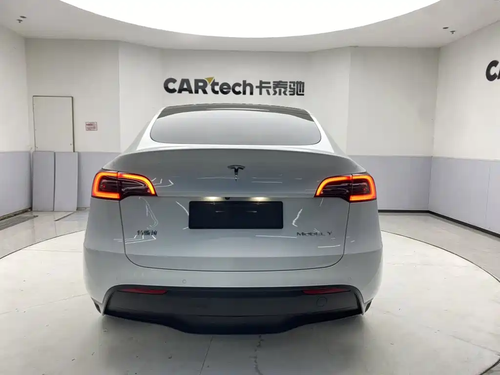 Tesla Model Y — миниатюра 6