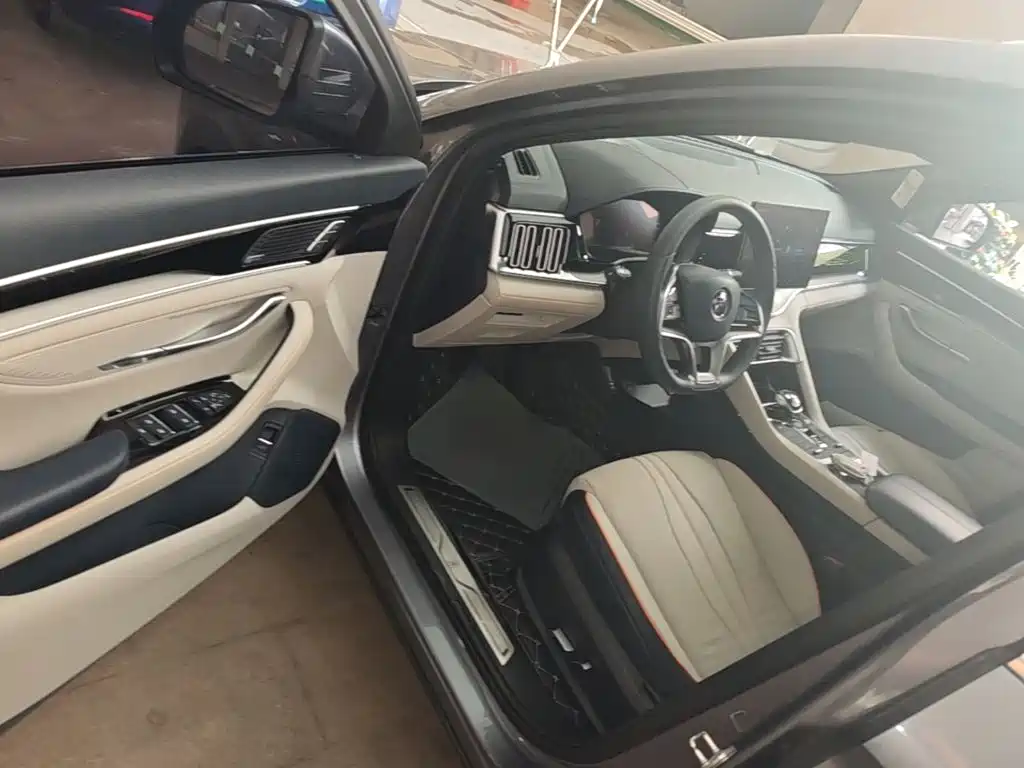 BYD PLUS New Energy — миниатюра 16