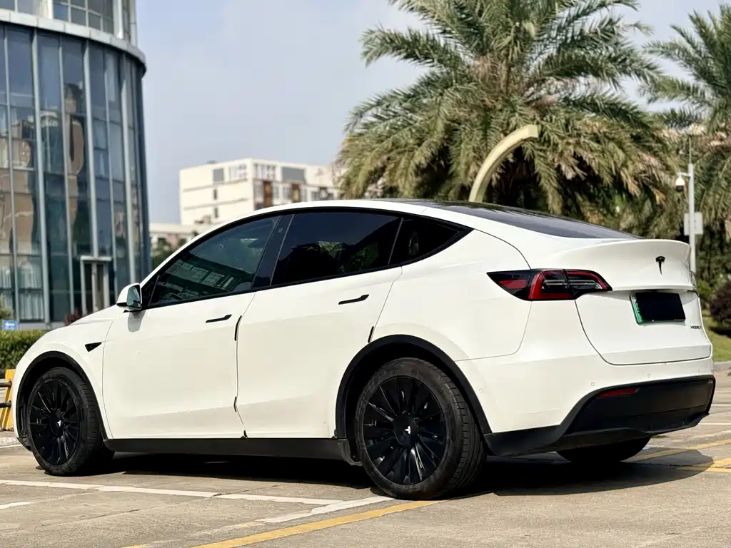 Tesla Model Y — миниатюра 17