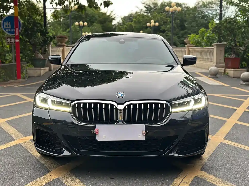 BMW 5 Series — миниатюра 2