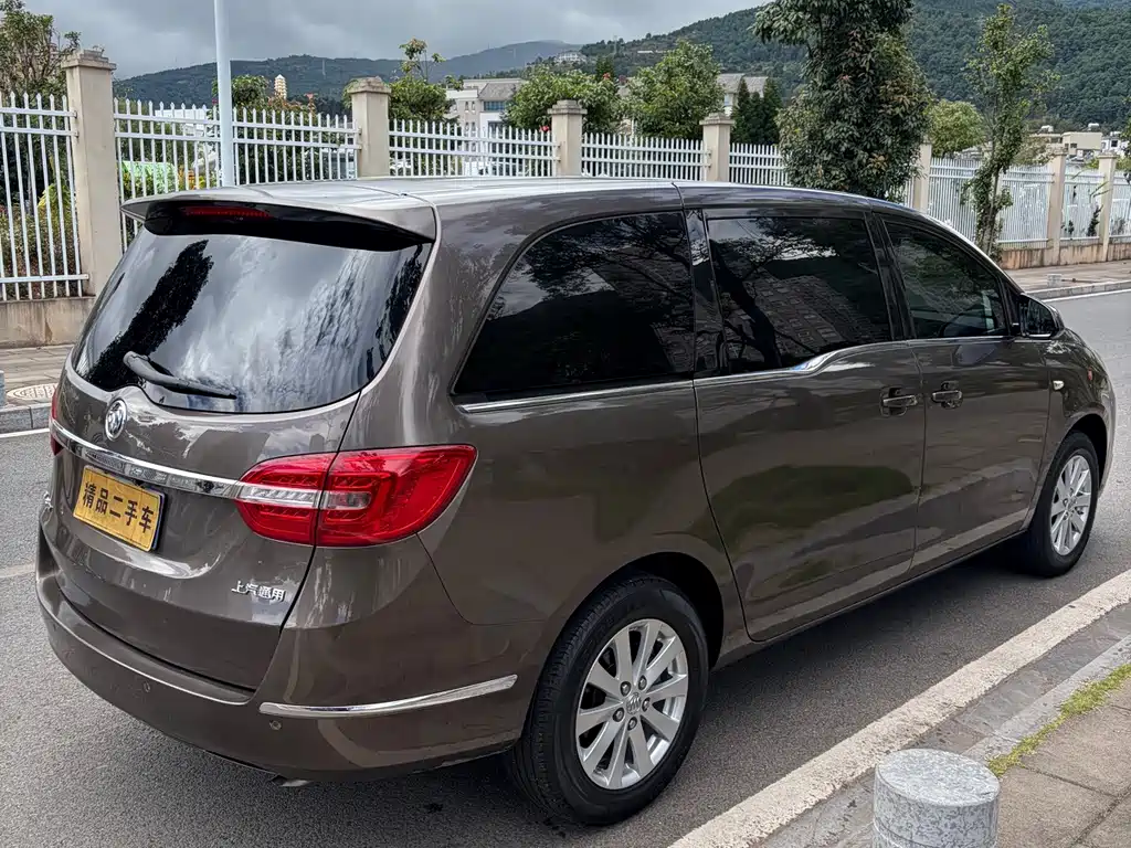 Buick GL8 — миниатюра 6