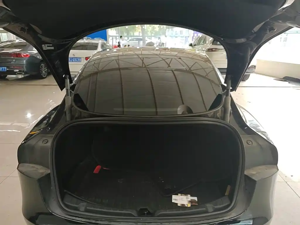 Tesla Model 3 — миниатюра 19