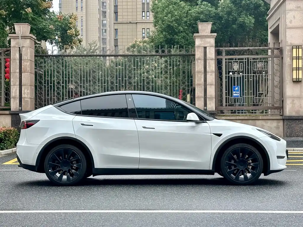 Tesla Model Y — миниатюра 3