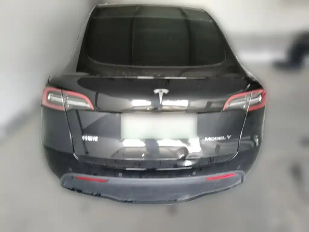 Tesla Model Y — миниатюра 8