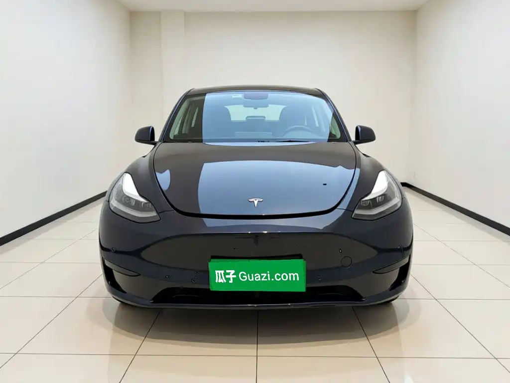 Tesla Model Y — миниатюра 2