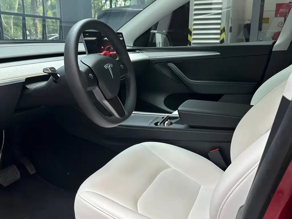 Tesla Model Y — миниатюра 5