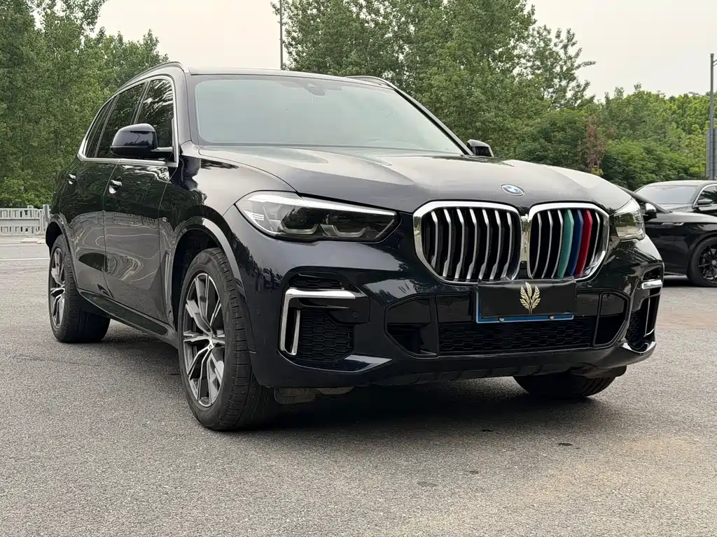 BMW X5 2022 xDrive 30Li M Sport