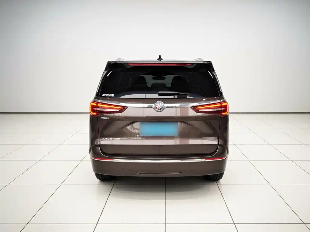 Buick GL8 — миниатюра 3