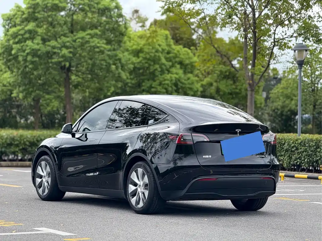 Tesla Model Y — миниатюра 4
