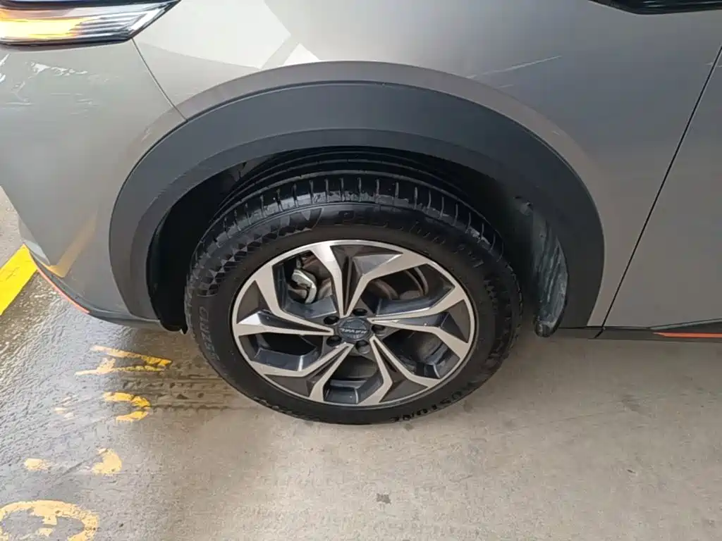 Haval Shenshou — миниатюра 23