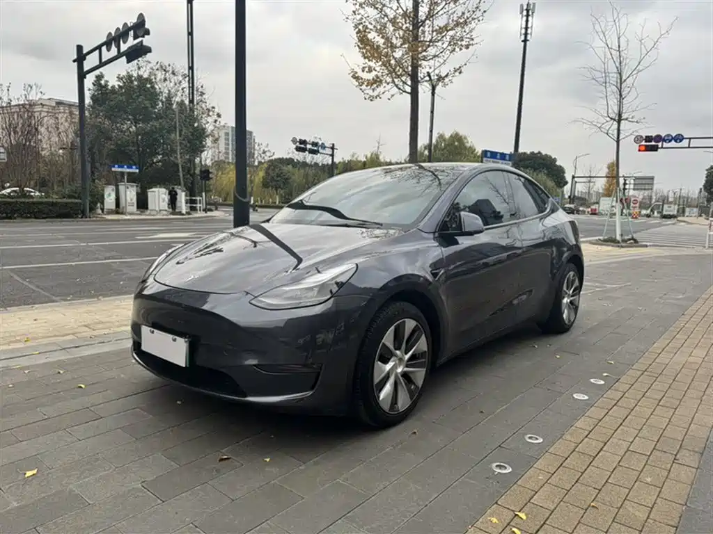 Tesla Model Y 2021