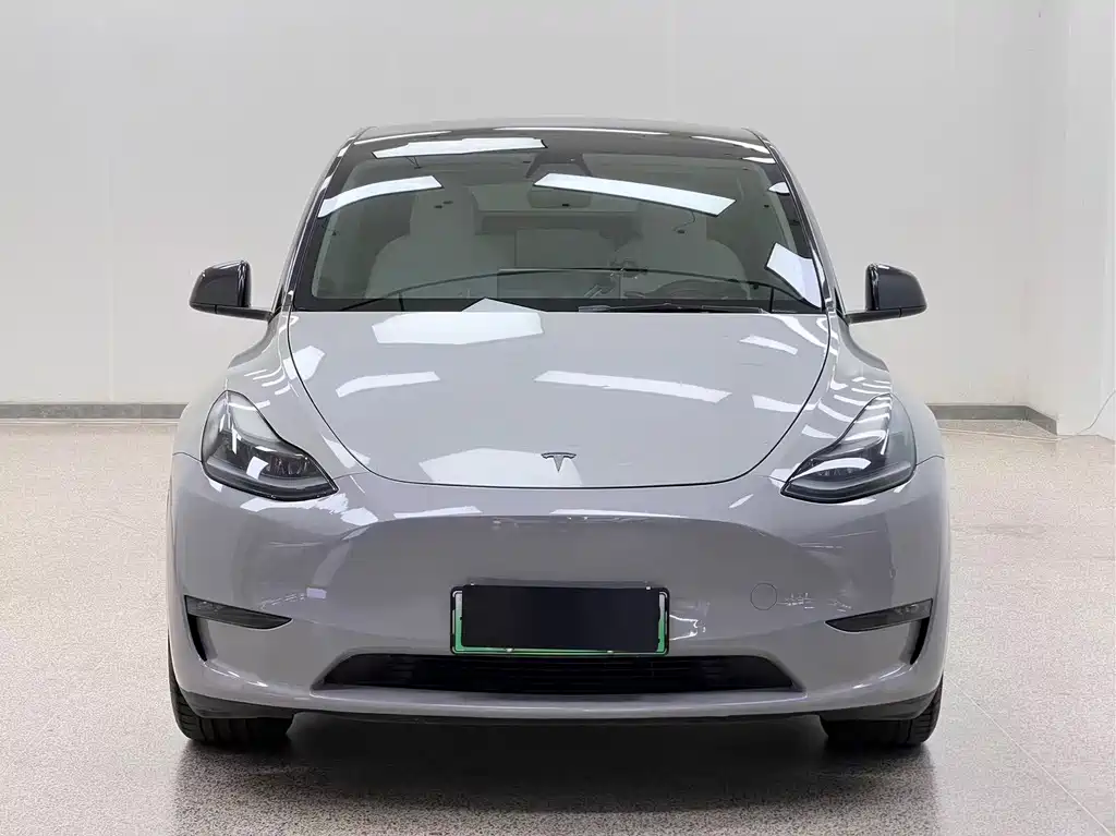 Tesla Model Y — миниатюра 2