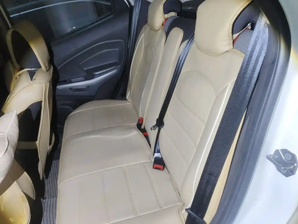 Ford Ecosport — миниатюра 13