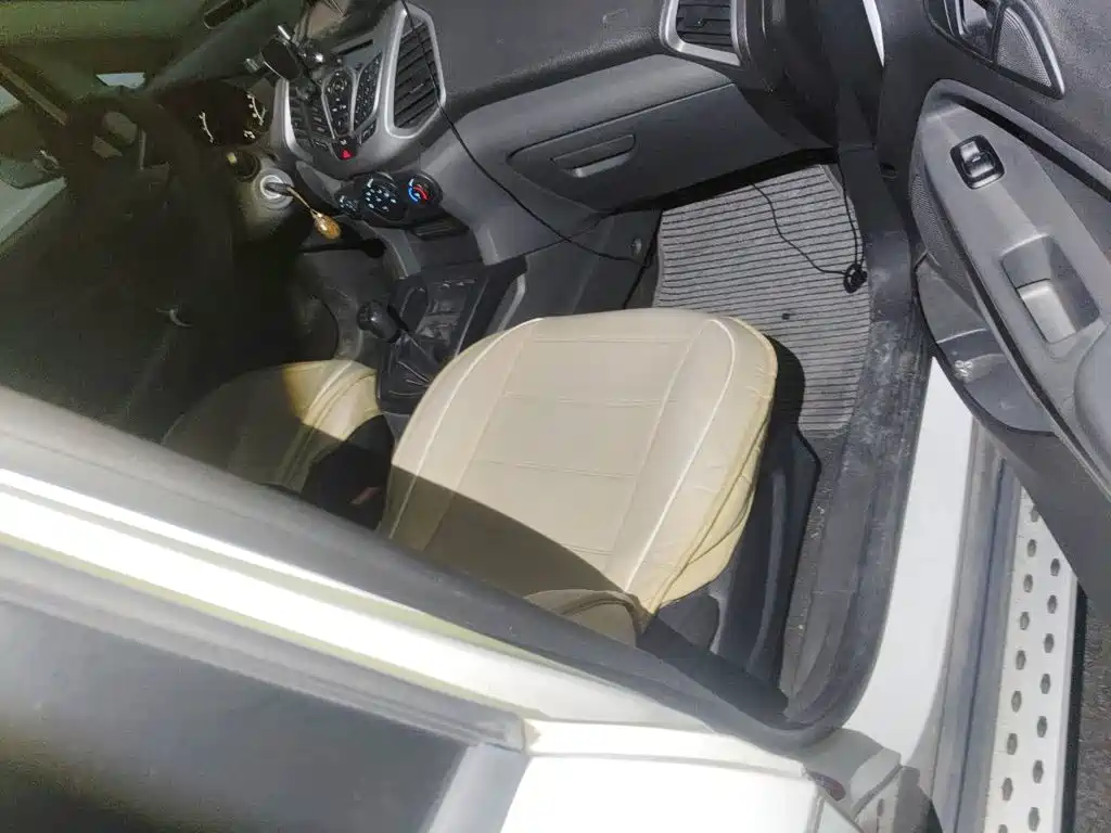 Ford Ecosport — миниатюра 19