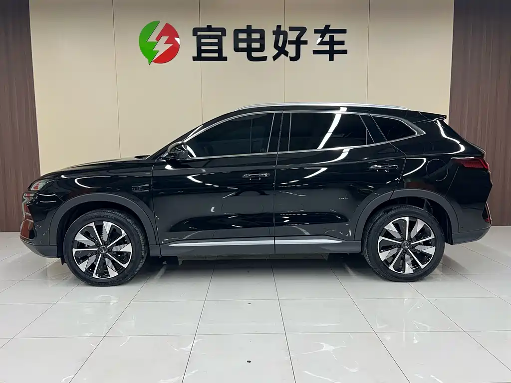 BYD SONGJIANG NEW ENERGY