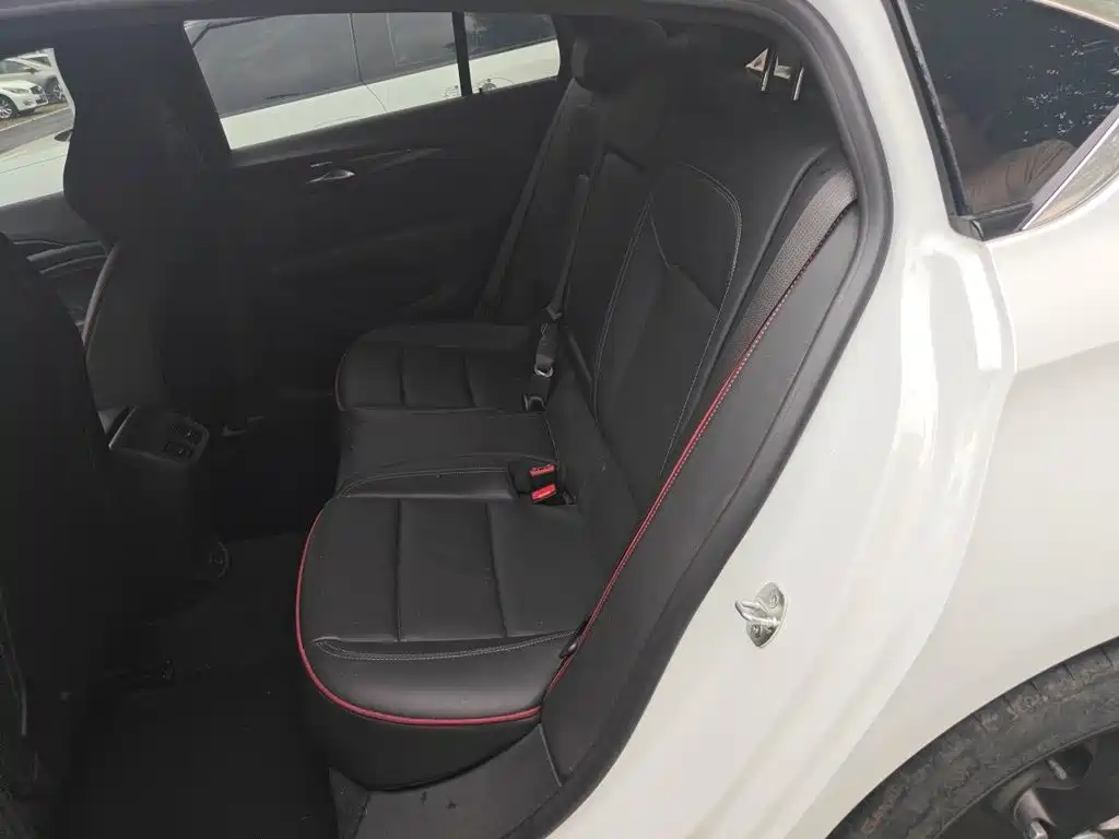 Buick Regal — миниатюра 15