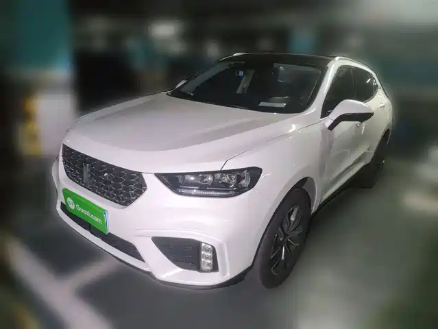 WEI PAI WEI BRAND VV5 2019