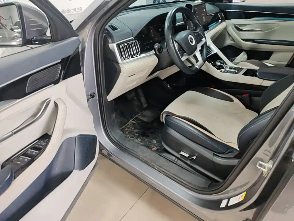 BYD PLUS New Energy — миниатюра 16