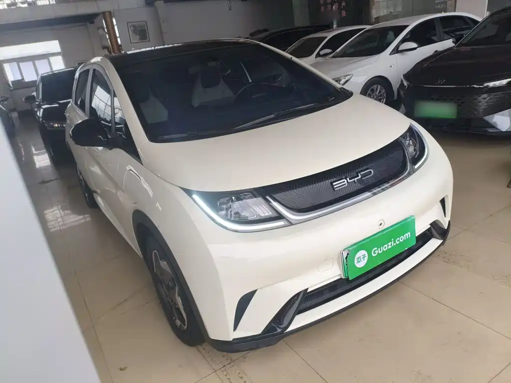 BYD Dolphin 2024 302km