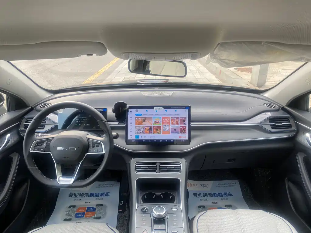 BYD Destroyer 05 2024 DM-i 55KM Luxury