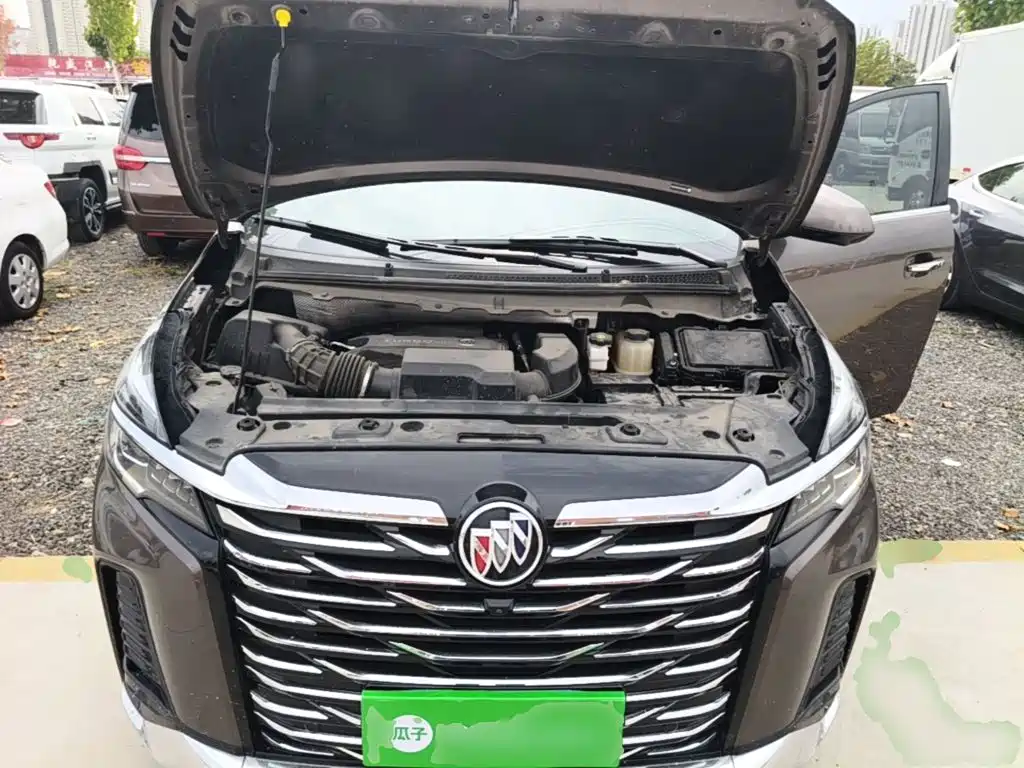 Buick GL8 — миниатюра 20