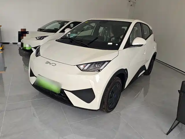 2026 BYD Seagull