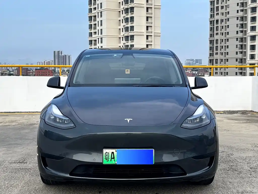 Tesla Model Y — миниатюра 2