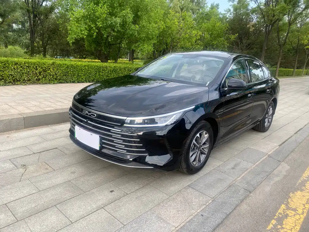 BYD Destroyer 05 2024 DM-i 55KM Luxury