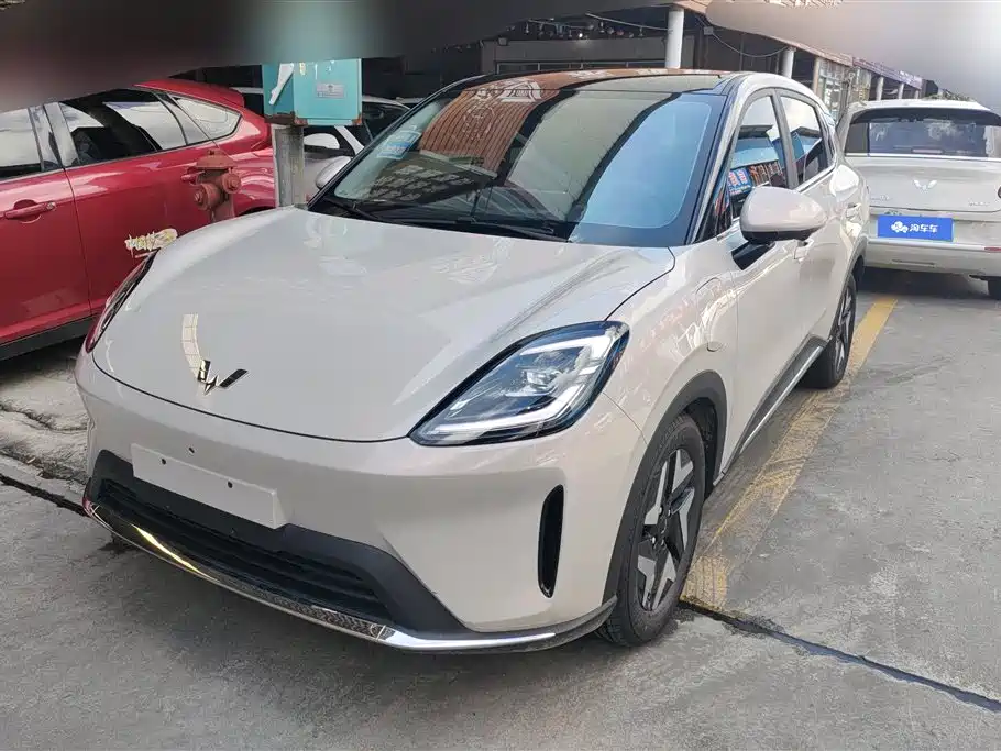 Wuling BinguoS S 2025 325km Flagship