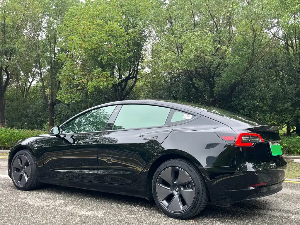 Tesla Model 3 — миниатюра 4
