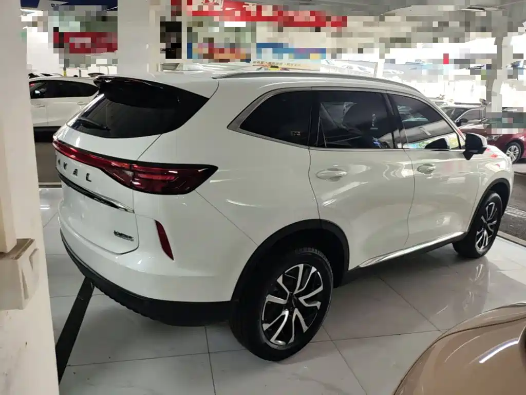 Haval H6 2021 — фото 6