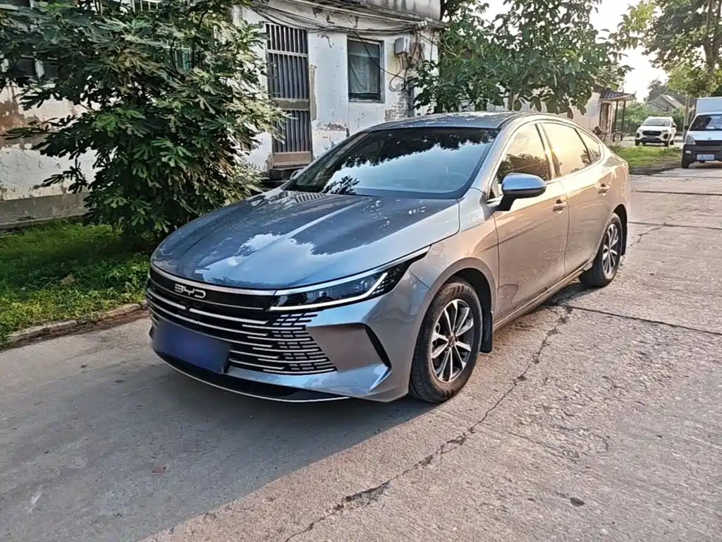 BYD Destroyer 05 2024 DM-i 55KM Luxury