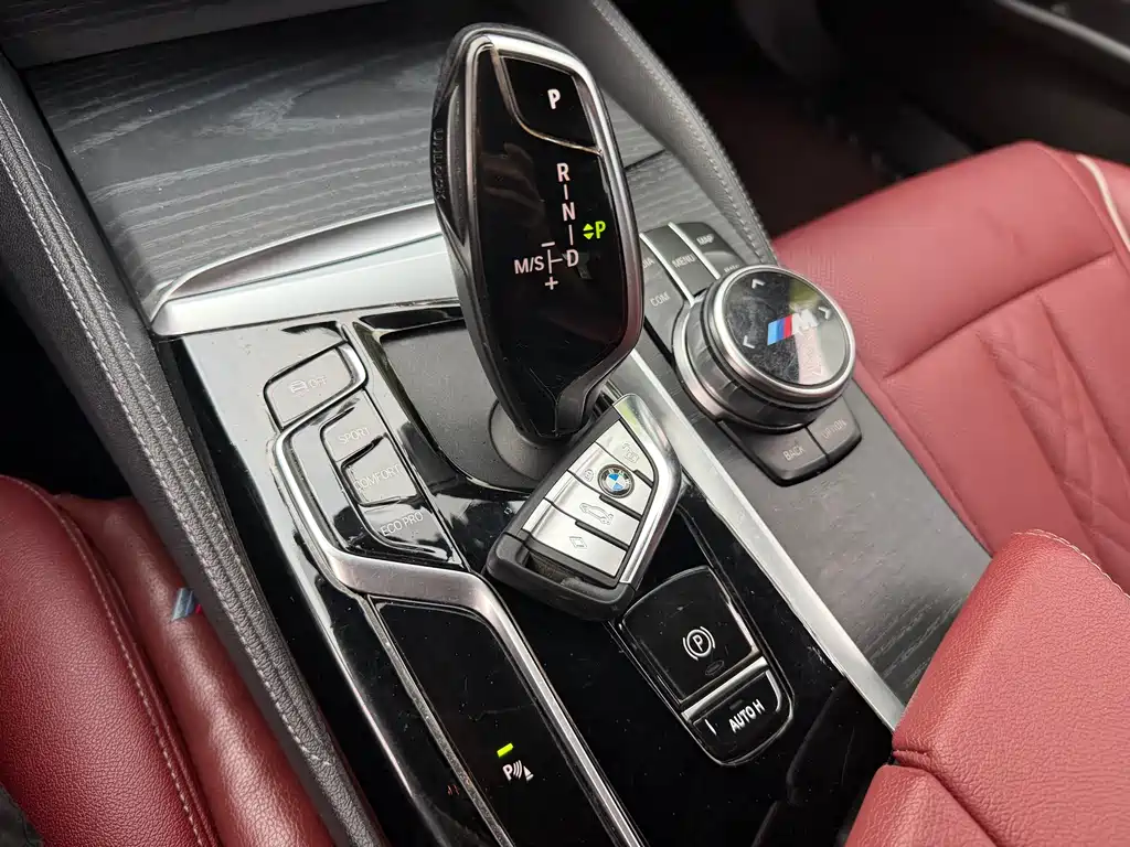 BMW 5 Series 5 2022 530Li Lead M Sport