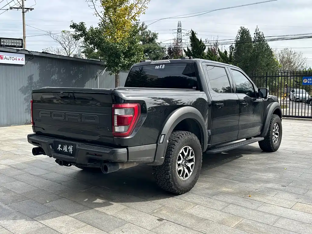 Ford F-150 Raptor — миниатюра 10