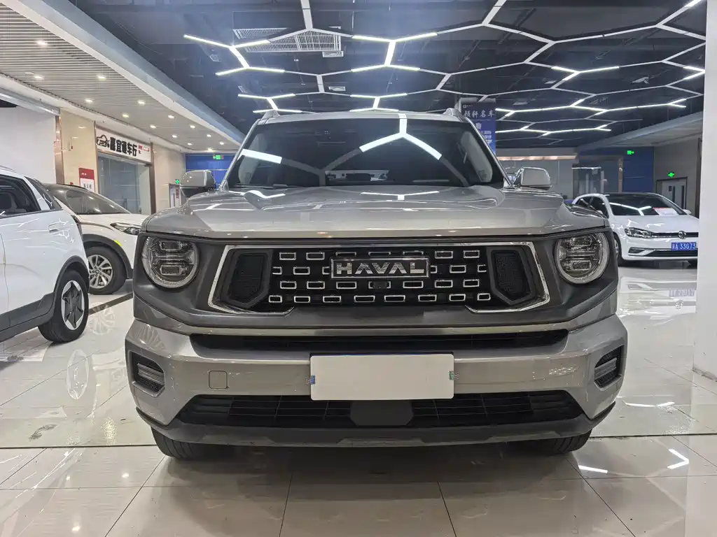 Haval Big Dog PLUS — миниатюра 15