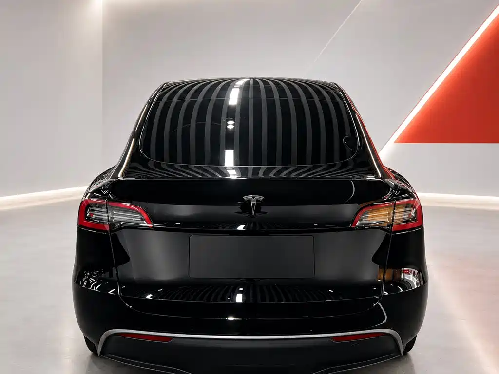 Tesla Model Y — миниатюра 5
