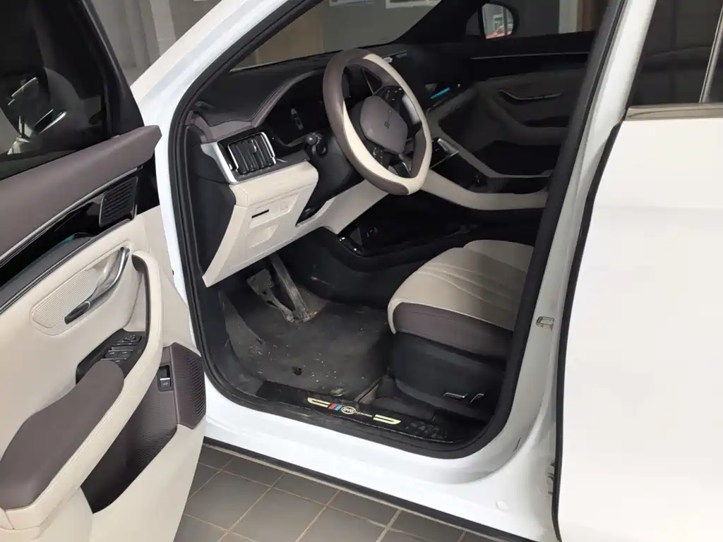 BYD SONGJIANG NEW ENERGY