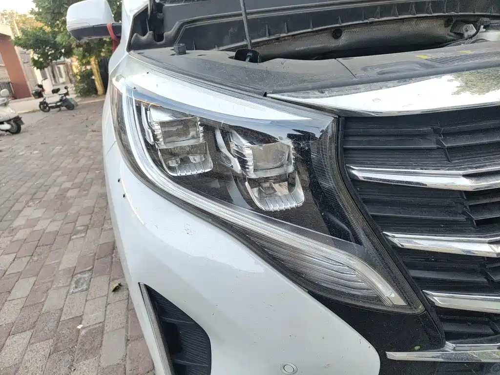 GAC Motor Trumpchi M8 — миниатюра 7