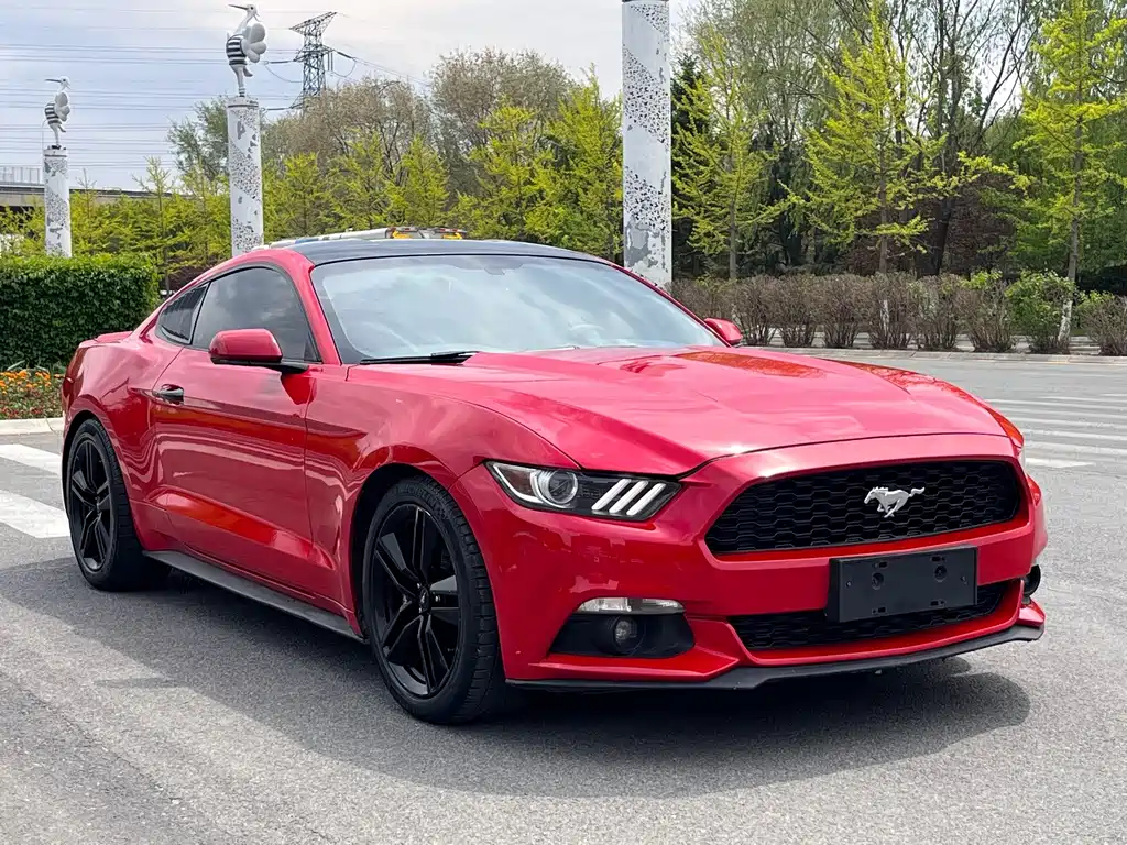 Ford Mustang — миниатюра 3