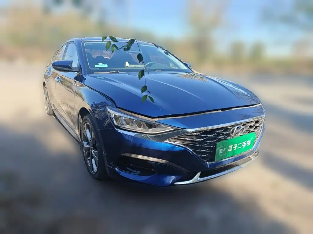 Hyundai Fista — миниатюра 22