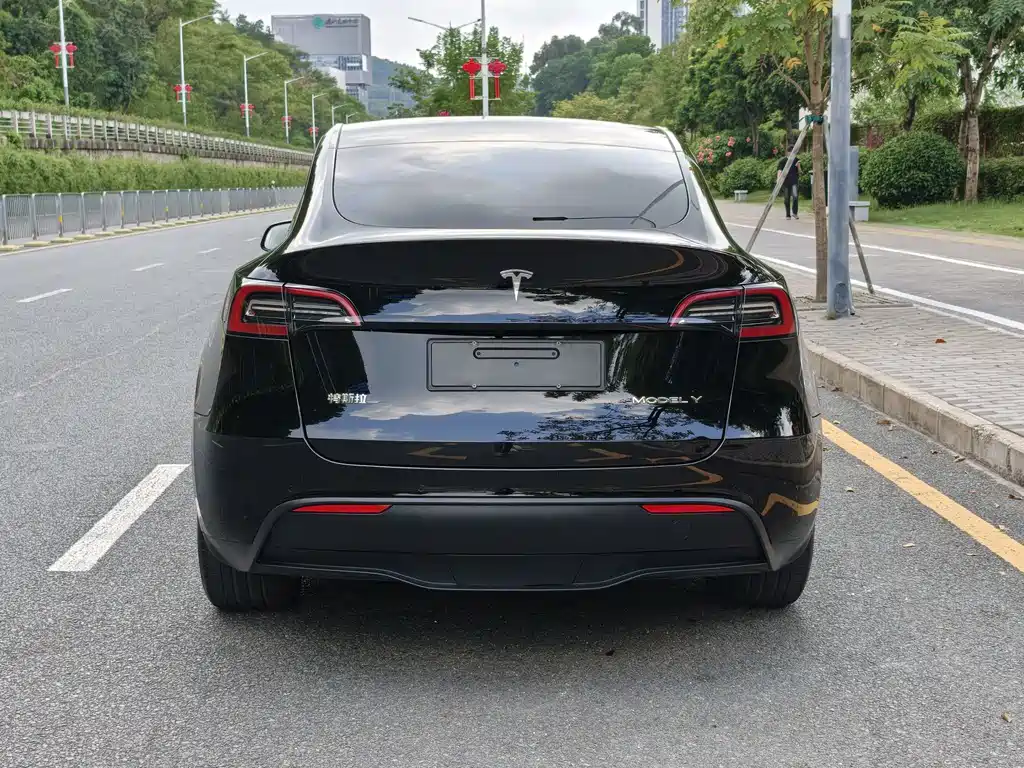 Tesla Model Y — миниатюра 5