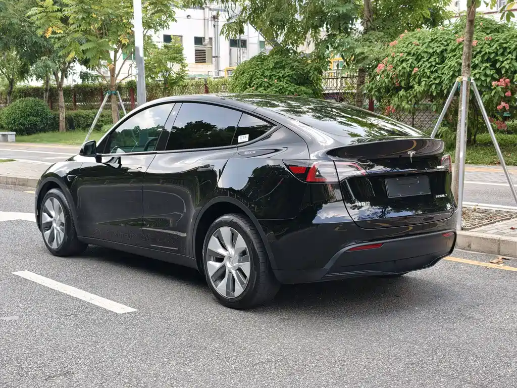 Tesla Model Y — миниатюра 6