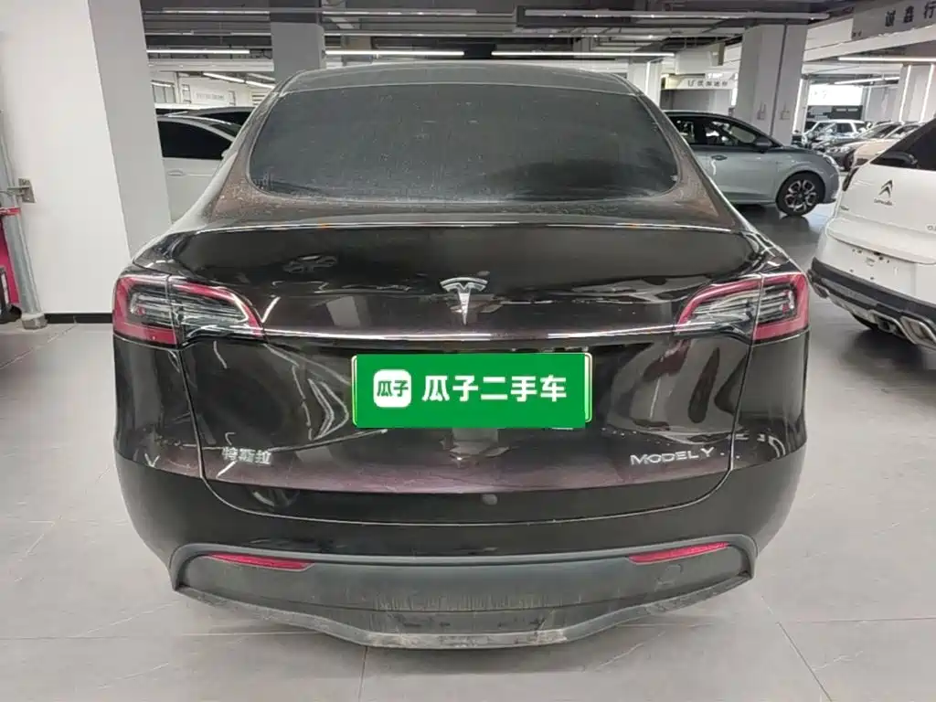 Tesla Model Y — миниатюра 6