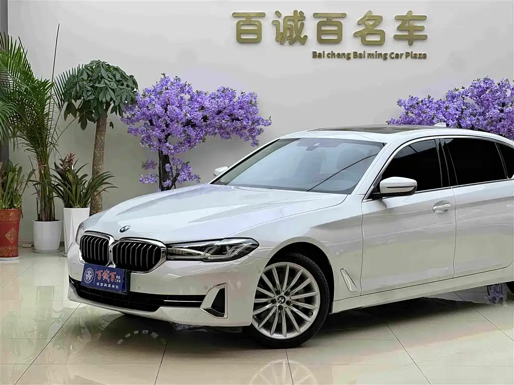 BMW 5 Series — миниатюра 3