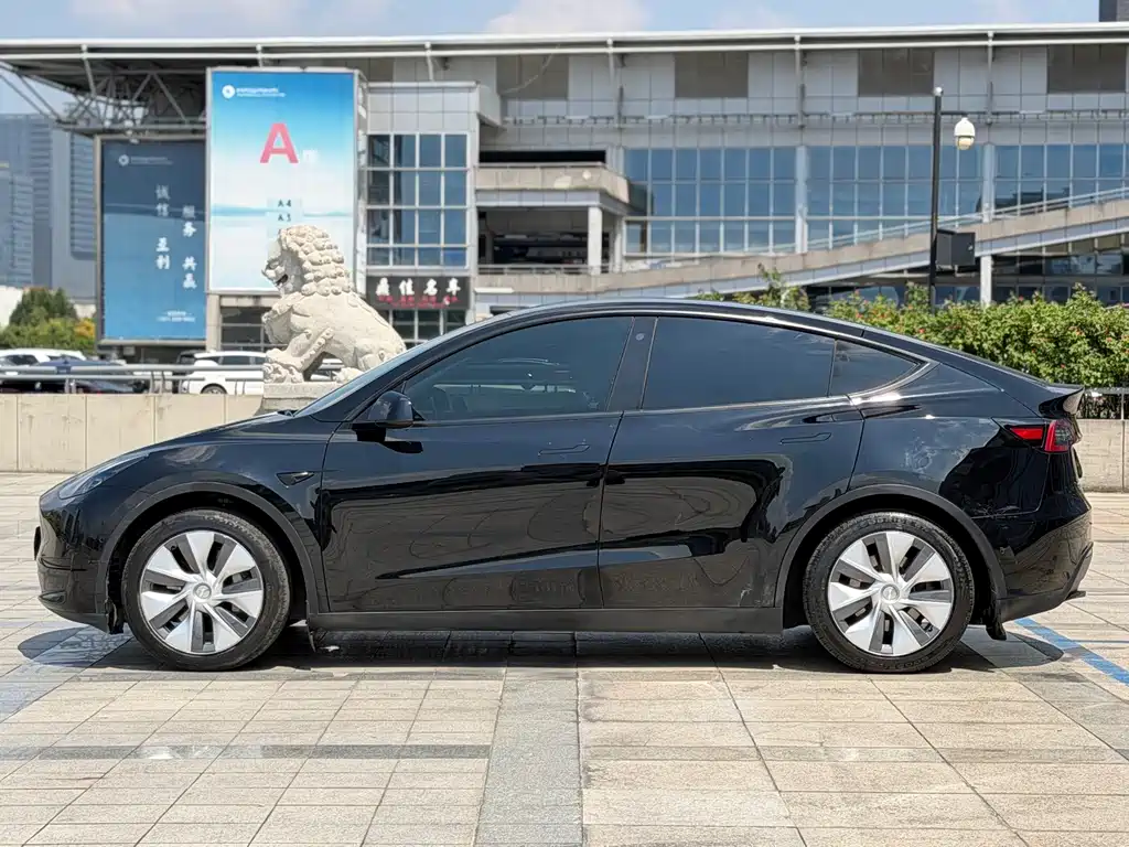 Tesla Model Y — миниатюра 8