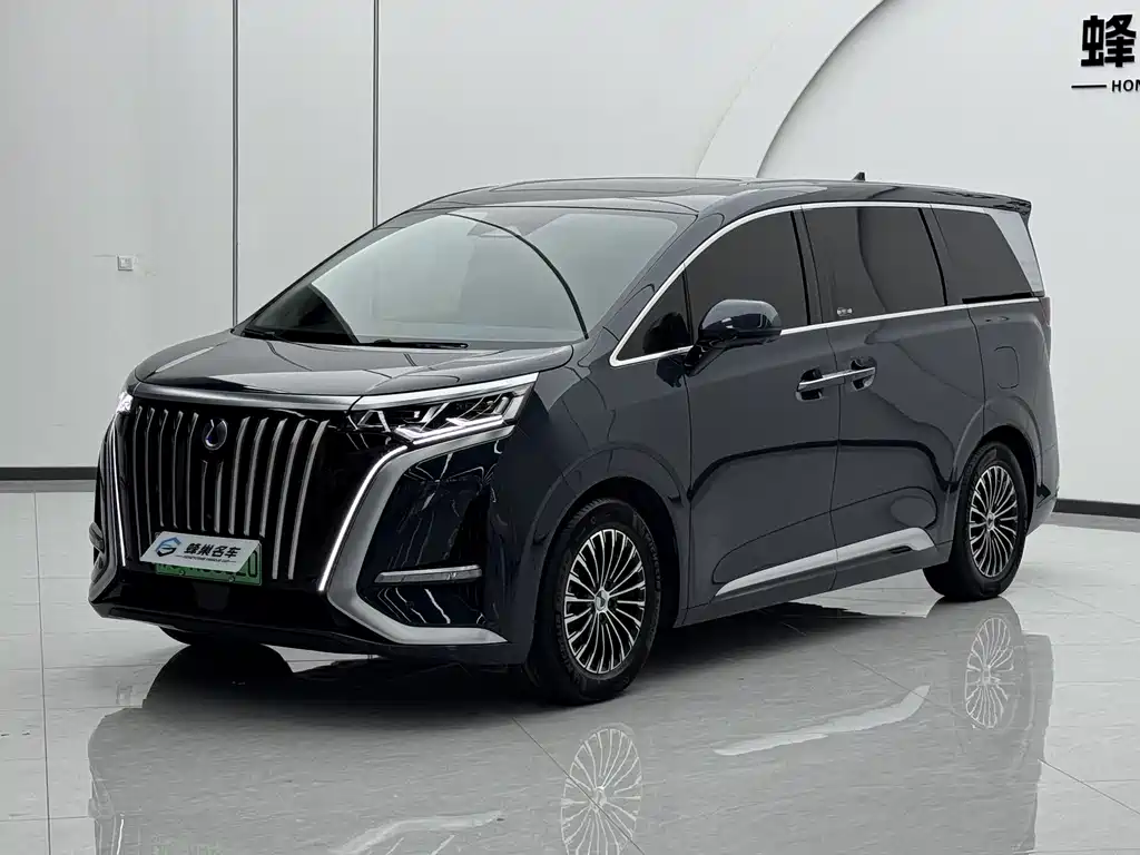 2023 Denza D9 - zdjęcie 1 z 25